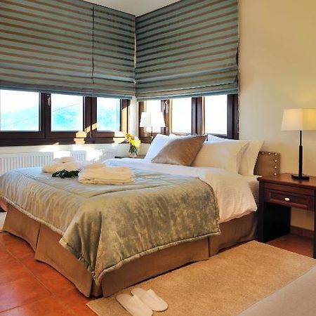 Guesthouse Kapaniaris 자고라 객실 사진