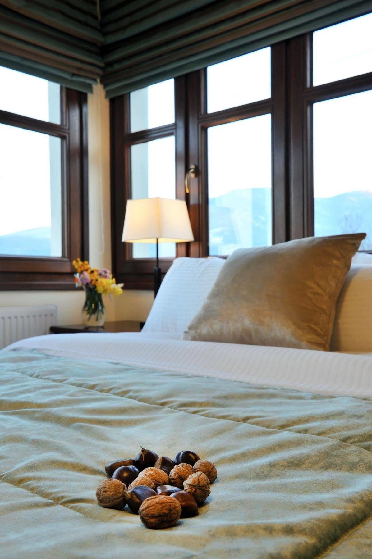 Guesthouse Kapaniaris 자고라 외부 사진